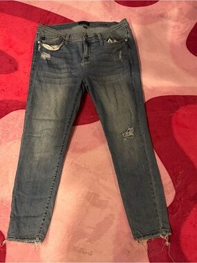 Judy Blue•Skinny Distressed Mid-Blue Jeans